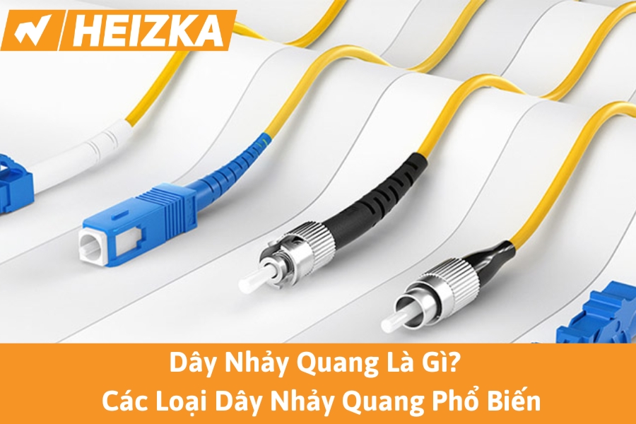 Dây Nhảy Quang Là Gì? Các Loại Dây Nhảy Quang Phổ Biến