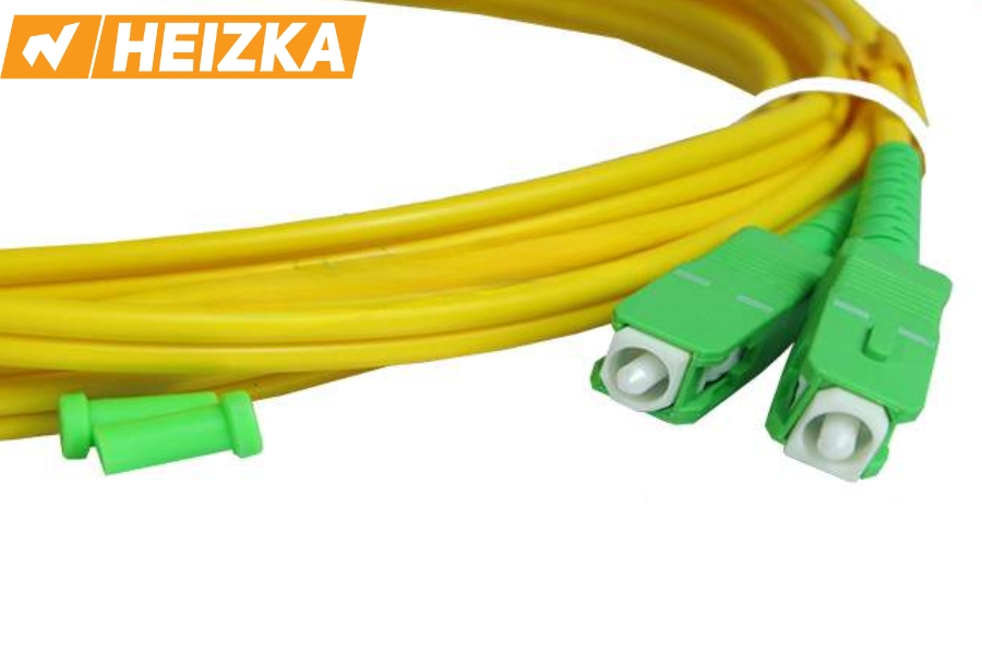 Dây Nhảy Quang Là Gì? Các Loại Dây Nhảy Quang Phổ Biến